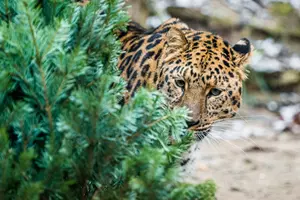 zoo praha