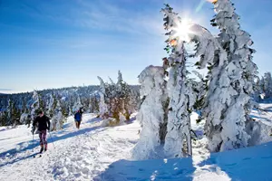 krkonoše běžky