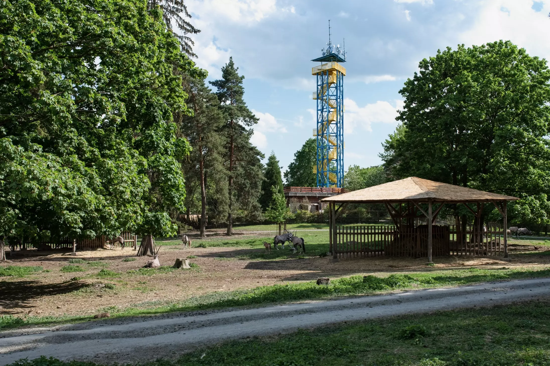 vyhlídková věž zoo olomouc