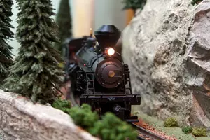 Vlakový model