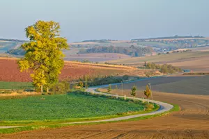 Moravské Toskánsko silnička