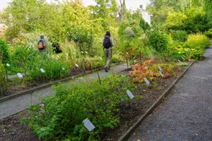 botanická zahrada na slupi