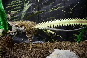 Trilopark