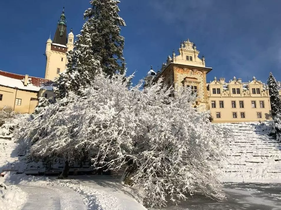 průhonický park