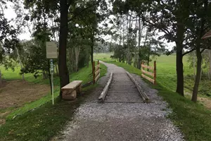koleje koňka