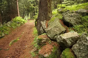 Kašperskohorská zlatá stezka