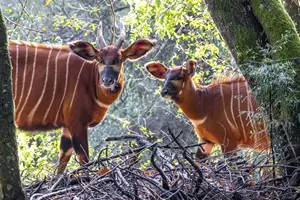 Zoo Praha