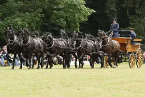 slatiňany