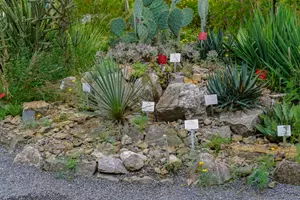 Botanická zahrada Na Slupi