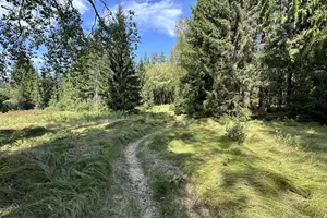 Vimperia's Golden Trail