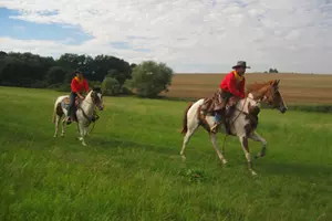 pony express