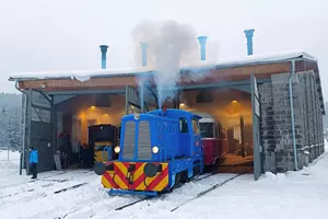 zubačka