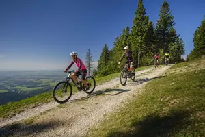 For Bikes Crussis