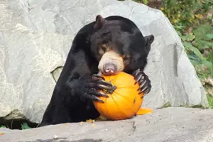 zoo ústí nad labem