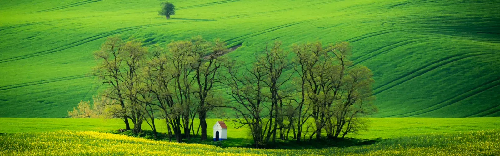 Tipy na jarní toulání přírodou pro fotografy