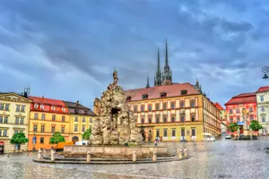 brno zelný trh