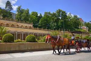 jízda kočárem karlovy vary