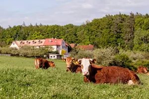 biofarma juré