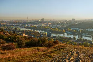 děvín
