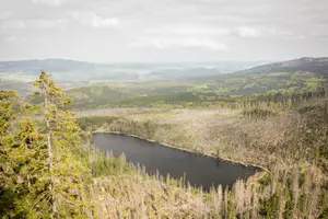 Plešné jezero