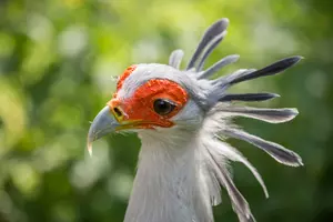 zoo praha