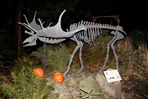 Halloween v Zoo Ostrava