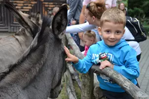 zoo děčín