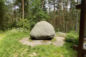 viklan