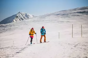 Karta hosta Krkonoše