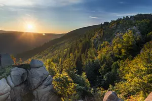 jizerskohorské bučiny