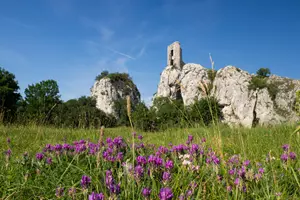 Pálava