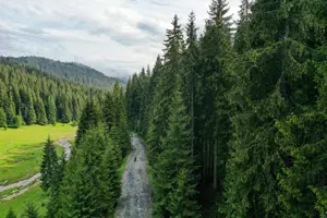 cyklista