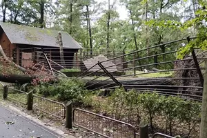 zoo ostrava