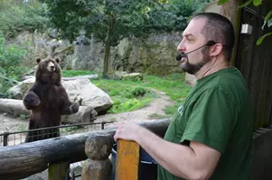 zoo děčín