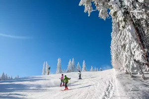 ski lipno
