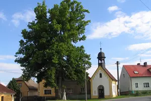 kaznějov