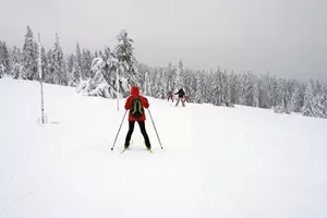 běžky krkonoše
