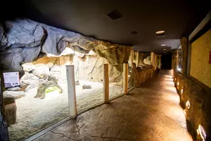 zoo ostrava