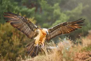 Zoo Ostrava supi