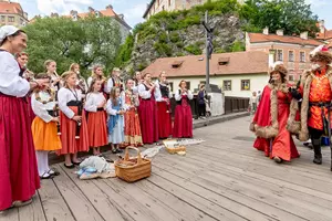 slavnosti pětilisté růže