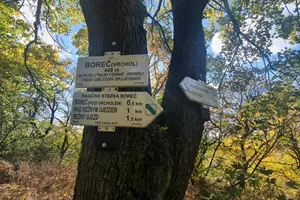 vrch boreč