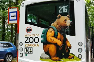 zoo děčín