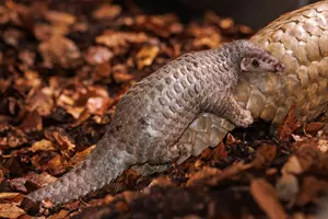 valentýn zoo praha