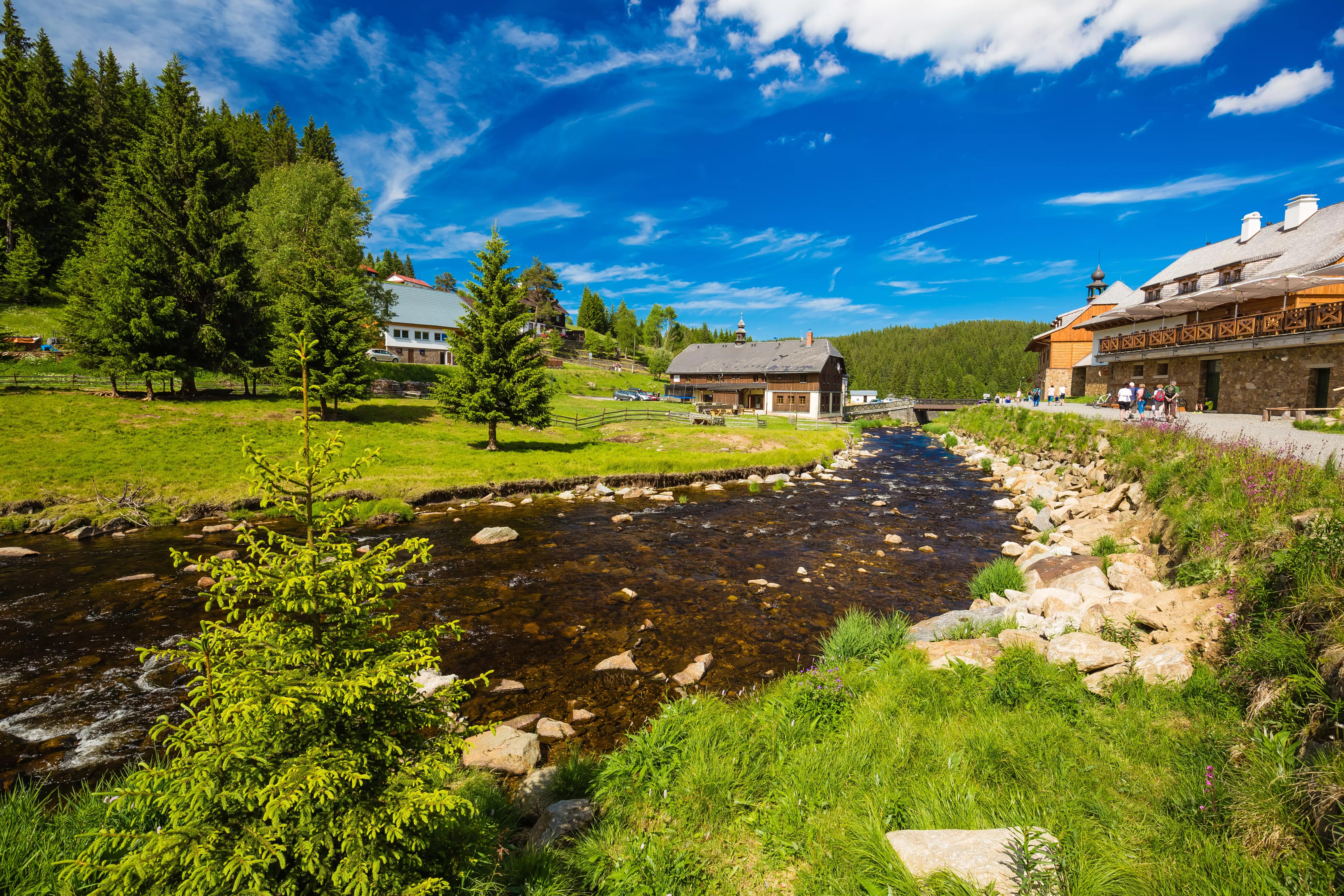 NP Šumava