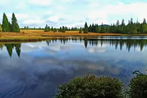 Mrtvý rybník