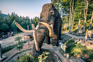 Mamut Dolní Morava