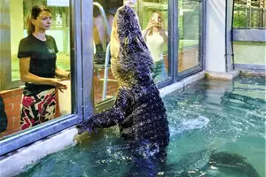 zoo protivín
