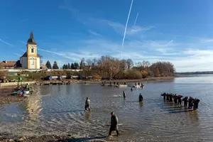 bošilec
