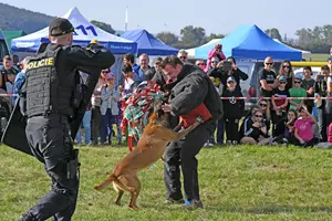 den uniformovaných sborů