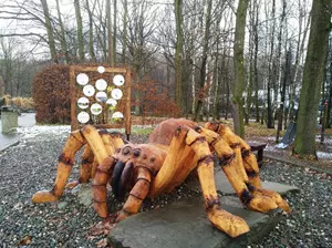Pavouk v Zoo Ostrava